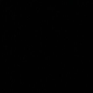 Meet your Posher, Antonio